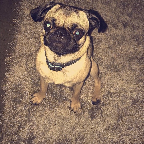 Meet your Posher, Alex - Picture 1 of 1